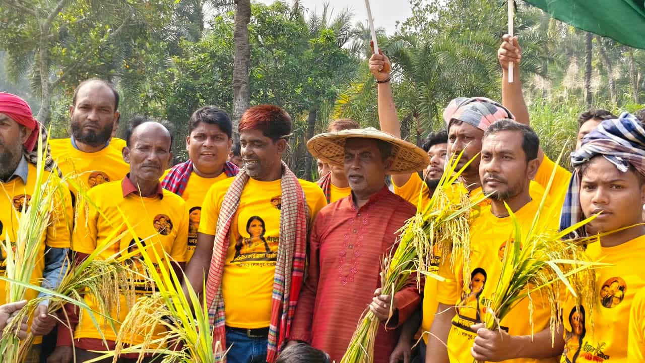 লালপুরে বিএনপি, যুবদলের কর্মীদের ধান কাটা কর্মসূচি