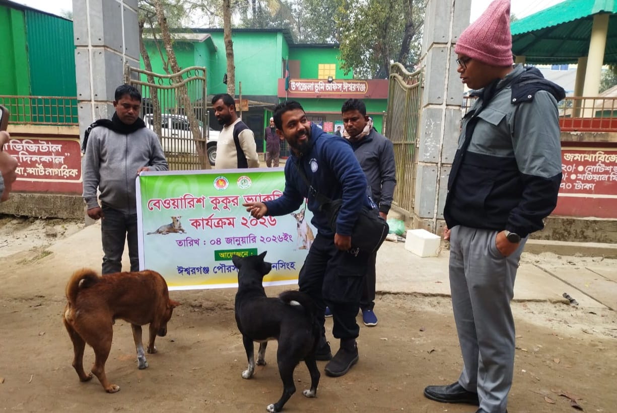জনস্বাস্থ্য সুরক্ষায় ঈশ্বরগঞ্জে বেওয়ারিশ কুকুরদের র‍্যাবিস ভ্যাকসিন প্রদান