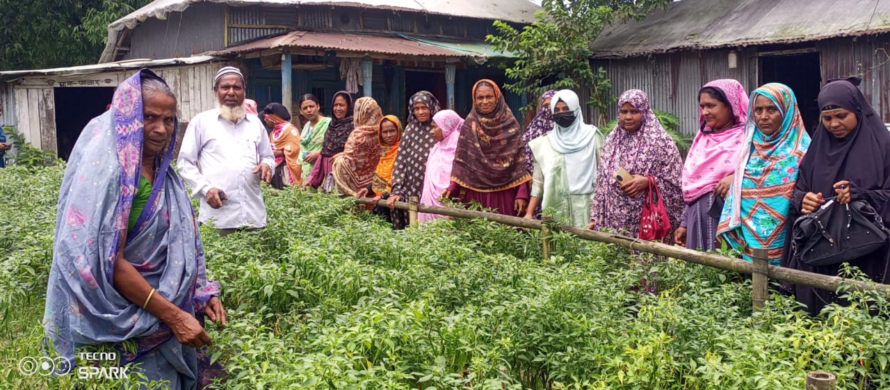 grameen-nareeder-hat-dhre-egroikoljir-prsar-nirapd-khadz-uttpadne-ntun-dignt
